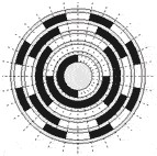 Бинарные коды